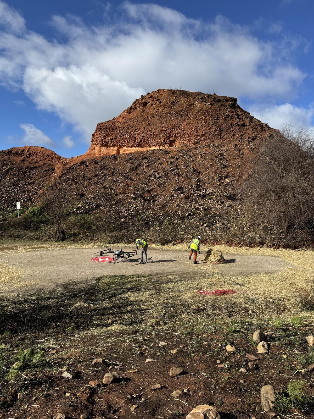 DJI FlyCart 30 preparándose para aplicar mulch de paja sobre una ladera quemada en El Bierzo